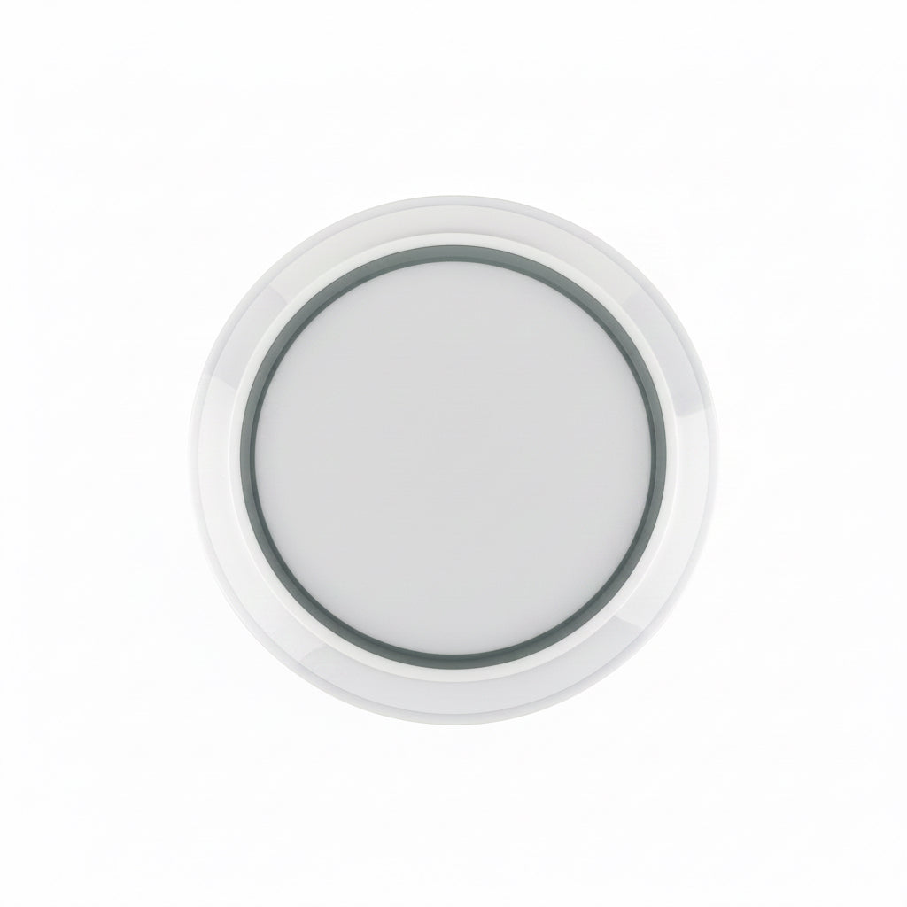 CE004 Ceiling Light