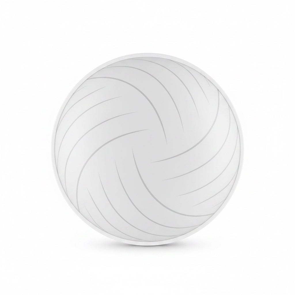 CE013 30w Ceiling Light
