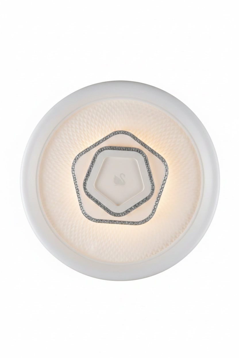 CE045 Ceiling Light