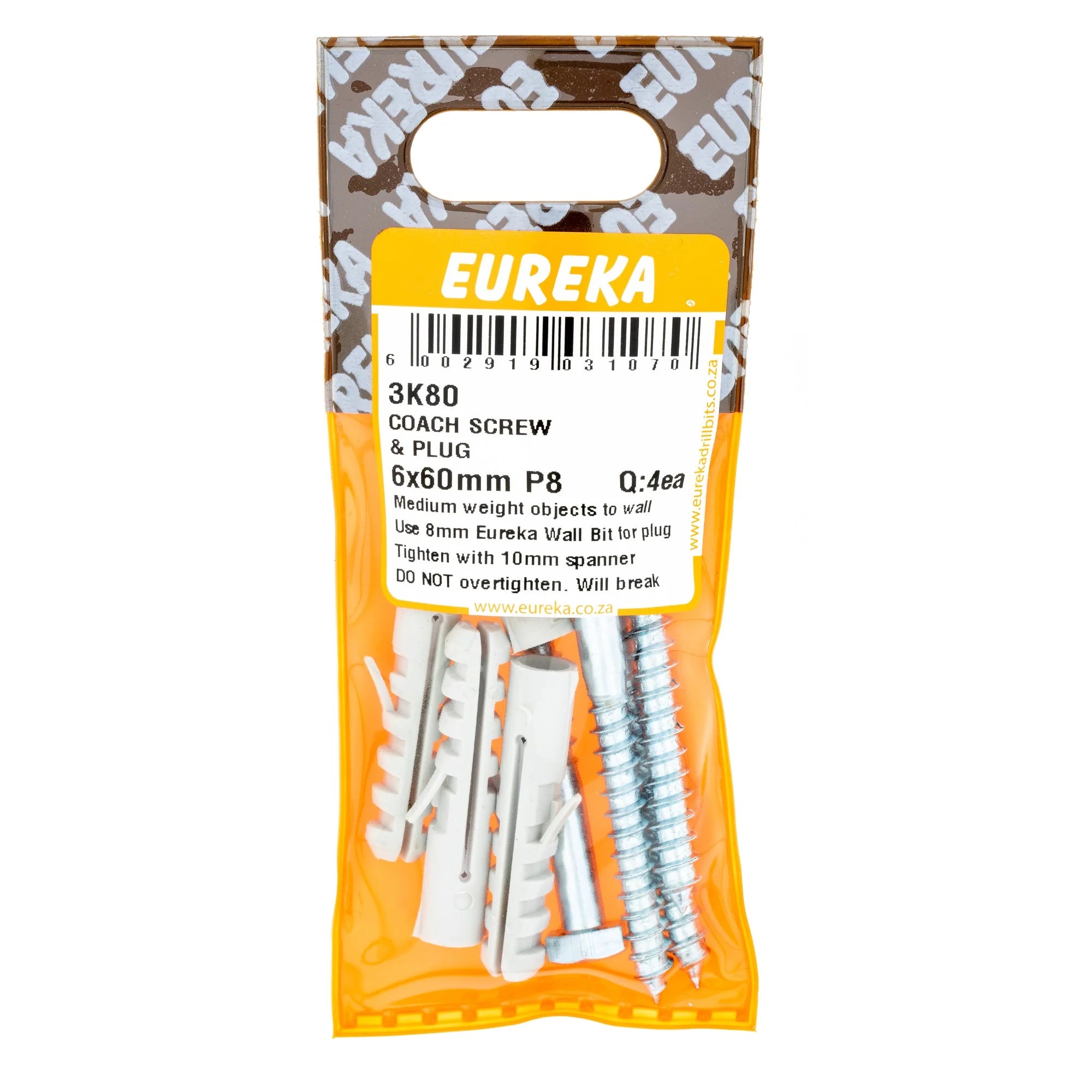 Coach Screw & Plug 6x60mm P8