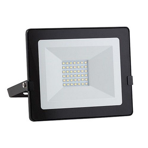 LED Day/ Night Floodlight 30W Cool White