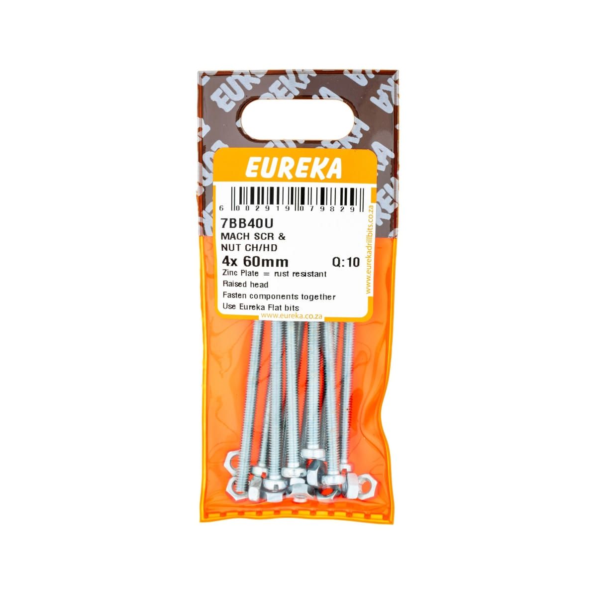 Mach SCR & Nut CH/HD 4x60mm