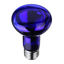 E27 R63 Blue Incandescent Bulb 60W