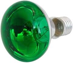 E27 R80 Green 60w Incandescent Bulb