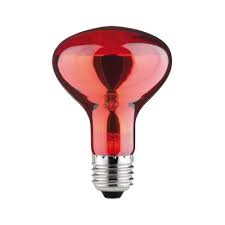 E27 R63 Red 60W Incandescent Bulb