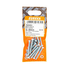 Mach SCR & Nut CH/HD 4x30mm