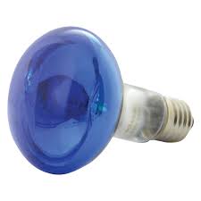 R80 Blue 60W Reflector Lamp